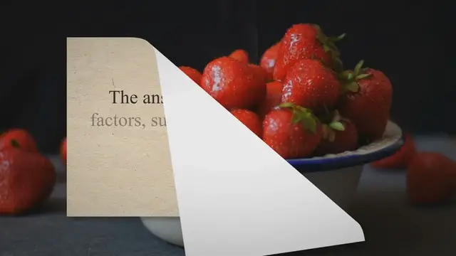 Video thumbnail for How Long Can A Freezer Go Without Power: A Food Safety Guide - Press To Cook