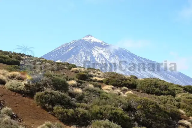 Video thumbnail for Vulkanausbruch des Teide? Alle Infos von den Kanaren: