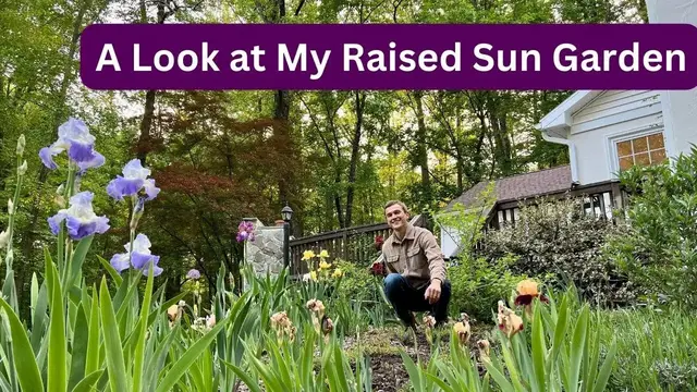 Video thumbnail for My Sun Garden - Quick Tour - in Spring