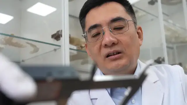 Video thumbnail for China: China-U.S. researchers rebuild extinct ancient horse in 3D.