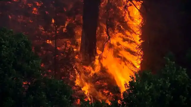 'Video thumbnail for Fresh wildfires force evacuations in northern Spain'