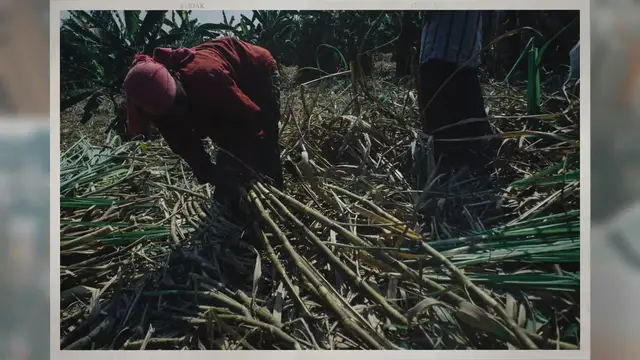 Video thumbnail for Characteristics of Rural Areas: A Window into Tranquility and Simplicity