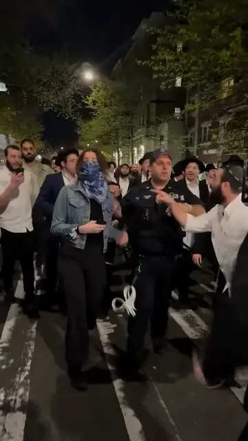 Video thumbnail for Pro-Israeli mob harasses woman in New York with ‘Death to Arabs’ chant