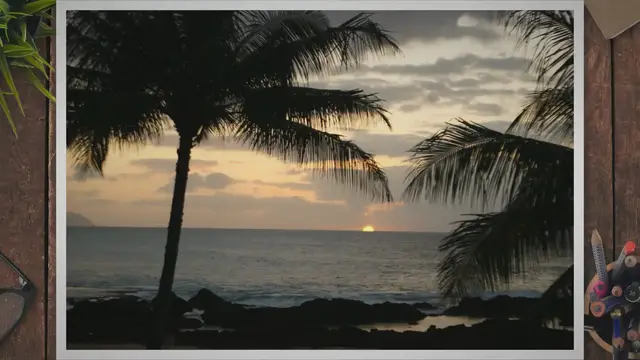 Video thumbnail for Types of Sharks in Hawaii: Discovering the Diverse Sharks of Hawaii