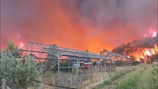 Video thumbnail for France: Wildfire burns over 6,000 acres in southeastern France.