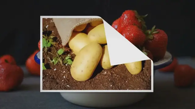 Video thumbnail for Can You Eat Potatoes with Sprouts? A Food Safety Expert Answers – Press To Cook