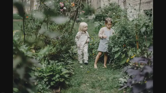 'Video thumbnail for 12 Houseplants Kids Love in Their Play Zone'