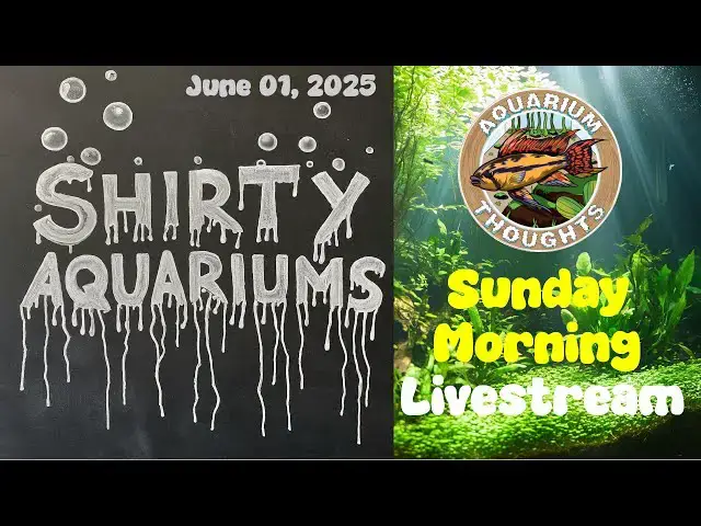 Video thumbnail for Crappy Aquariums & Bad Fish Conditions: Live Reaction! 🐟💔