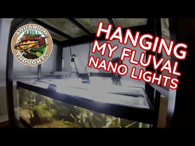 Video thumbnail for Level Up Your Tank: DIY Fluval Nano Light Hanging Hack