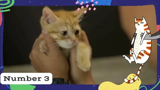'Video thumbnail for Embark on a journey to understand and care for our beloved pets'