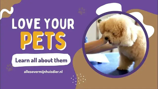 'Video thumbnail for Embark on a journey to understand and care for our beloved pets'
