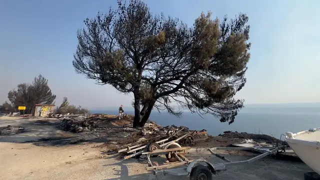 Video thumbnail for Croatia: Wildfire destroys homes, forces evacuations near Croatia's Omis.