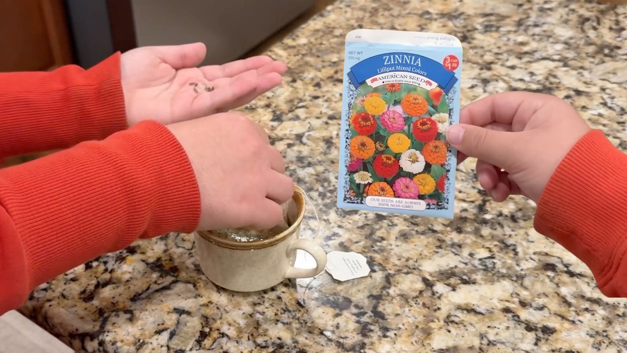 Video thumbnail for 5 Must-Try Garden Hacks To Rapidly BOOST Plant Growth!