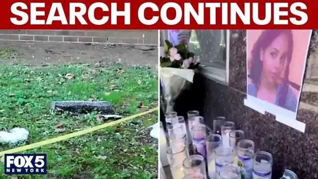 Video thumbnail for NYPD search for suspect who allegedly pushed mother, baby off balcony