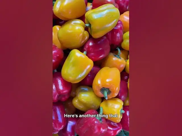 'Video thumbnail for The Truth About Green Bell Peppers You Need to Know'