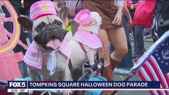 'Video thumbnail for No tricks, just treats: Costumed pups take over Tompkins Square Park'