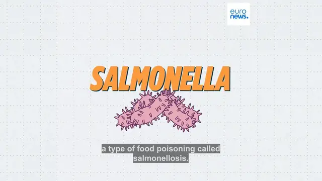Video thumbnail for Where in Europe has seen the most outbreaks of Salmonella?