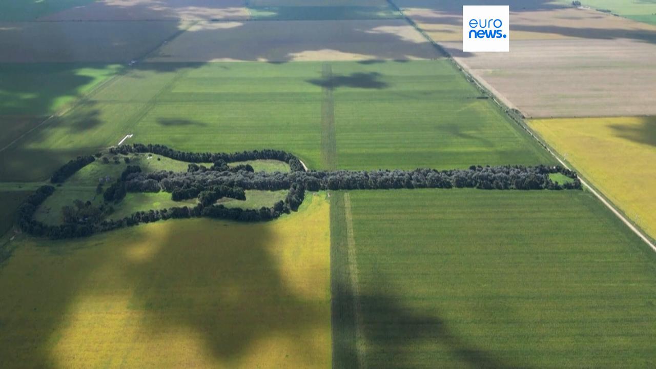 Video thumbnail for Watch: Giant guitar-shaped forest revealed from the air in Argentina