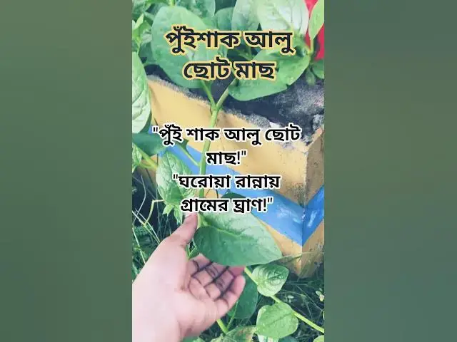 'Video thumbnail for পুঁই শাক আলু আর ছোট মাছের ঘ্রাণে ভরে উঠুক দুপুর! | Village Style Cooking | #shorts'