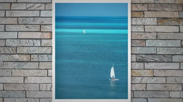 Video thumbnail for Most Dangerous Animals in the Caribbean