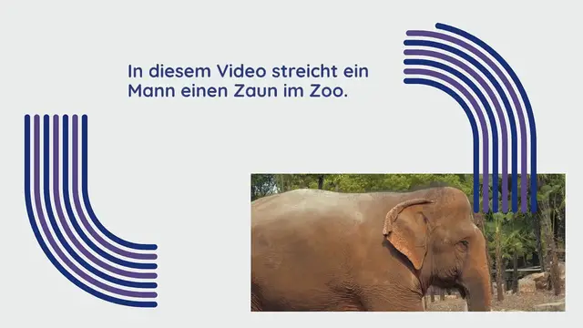 Video thumbnail for Mann lackiert Zaun im Zoo – wie ein Baby-Elefant ihn von der Arbeit abhält, ist einfach zuckersüß