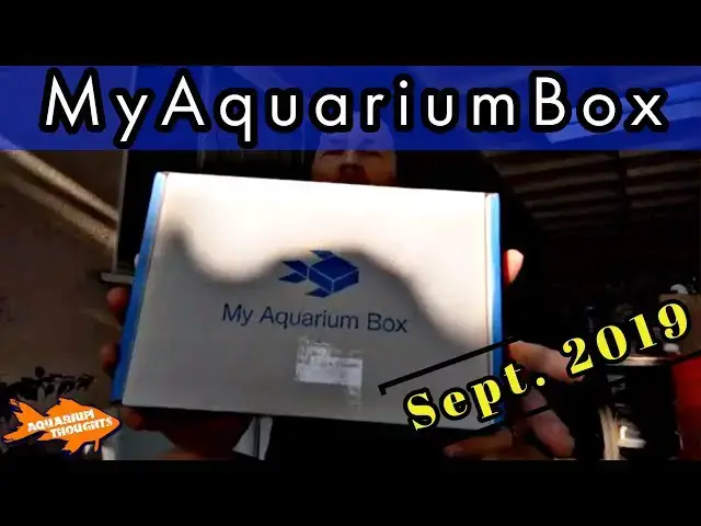 Video thumbnail for #MyAquariumBox | Unboxing of the September 2019 Box plus Plant Update