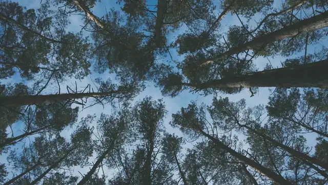 Video thumbnail for Earth Elemental Magic: Basics and Beginner Spells