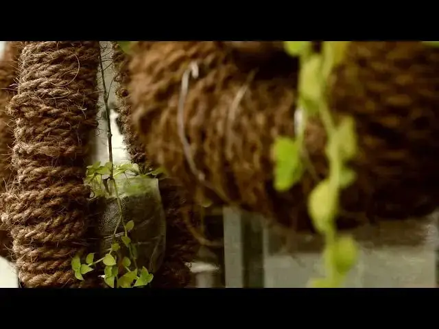 Video thumbnail for HANGING ROPE GARDEN