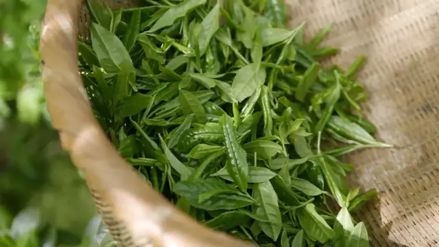 Video thumbnail for Health Benefits of Lemongrass Tea: Natural Relief and Wellness