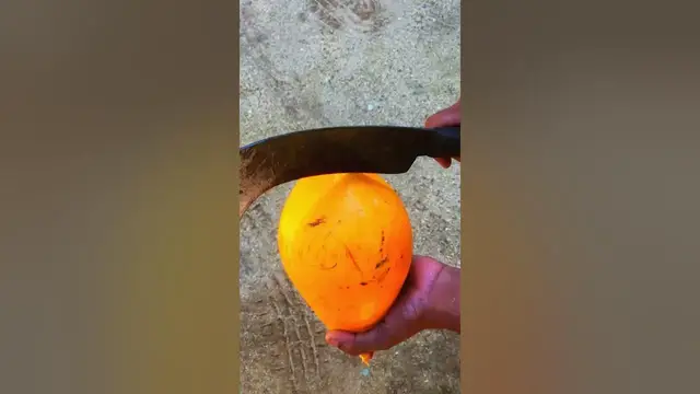 Video thumbnail for The  most beautiful cut |  😍😃 Healthy King Coconut | #shorts #coconut #healthy