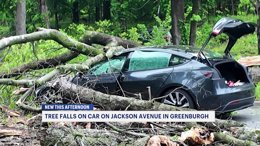 Video thumbnail for Tree crashes onto moving Tesla in Greenburgh, 2 injured