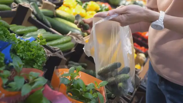 'Video thumbnail for Can You Vacuum Seal Cucumbers?'