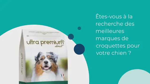 Video thumbnail for Les 16 meilleures croquettes pour chien en 2024