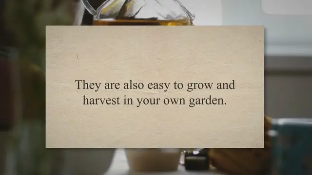 Video thumbnail for How To Freeze Green Beans: A Step-By-Step Guide To Keep Them Fresh And Crisp - Press To Cook