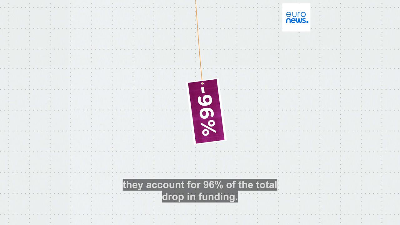 Video thumbnail for Foreign aid plummets in Europe: Which countries are slashing their funds?