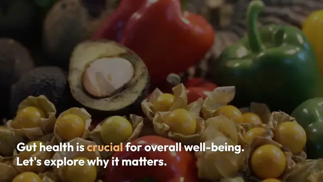 Video thumbnail for Understanding Gut Health Importance