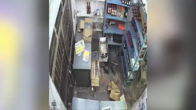 Video thumbnail for India: Leopard enters liquor shop in Rajasthan, attacks three before being rescued.