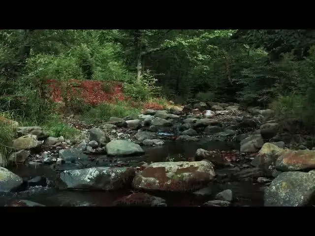 Video thumbnail for Along The River  Videos