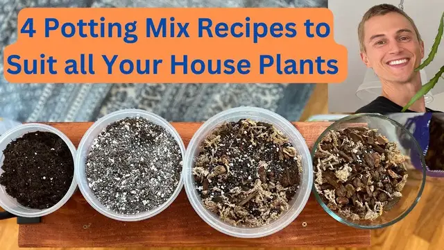 Video thumbnail for 4 House Plant Potting Mix Recipes - Common Plants, Succulents, Tropical Aroids & Orchids