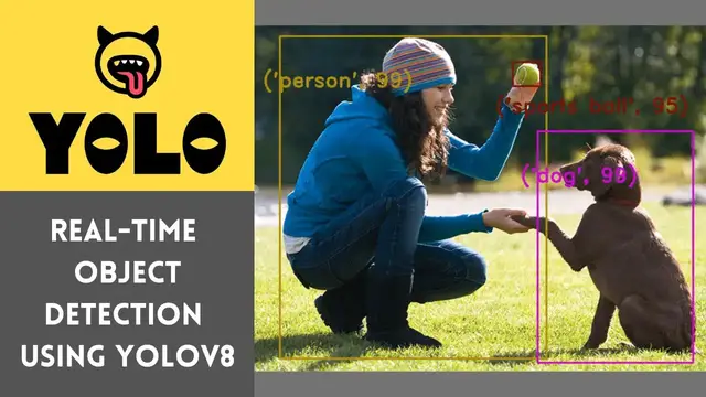 Video thumbnail for YOLOv8 | Real time object detection using YOLOv8