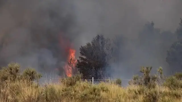 Video thumbnail for Italy: Wildfire threatens residential areas on Italy's Sicily.