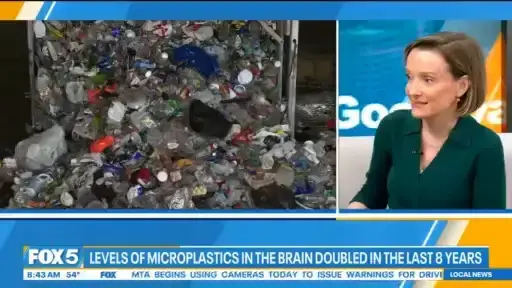 'Video thumbnail for New study says the average brain contains 10g of microplastics: Good Day Today'