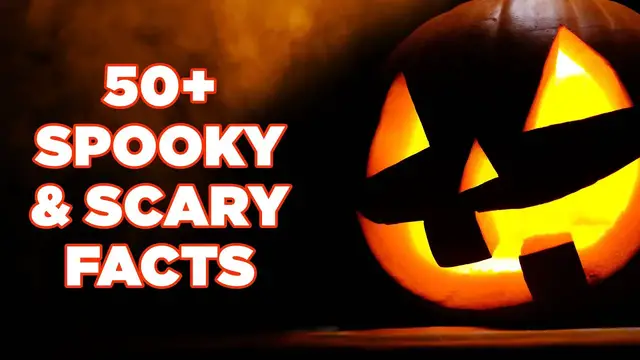 Video thumbnail for 50+ Creepy Halloween Facts to Chill You | Relaxing Jack-o'-Lantern Ambience | Mental Floss