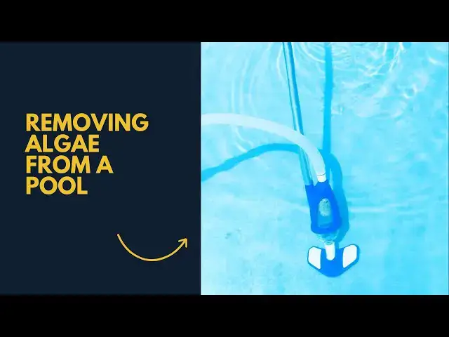 Video thumbnail for How to Remove Algae from a Pool without a Vacuum:  A step by Step Guide