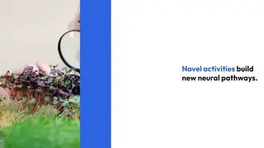 'Video thumbnail for Brain workout tips'