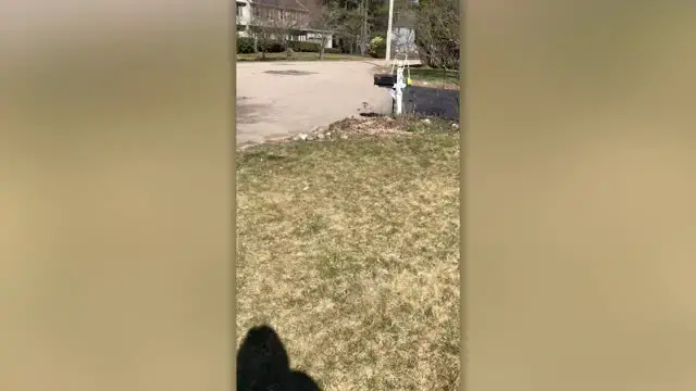 Video thumbnail for Police Officers Surprise Girl After Birthday Party Canceled | Happily TV