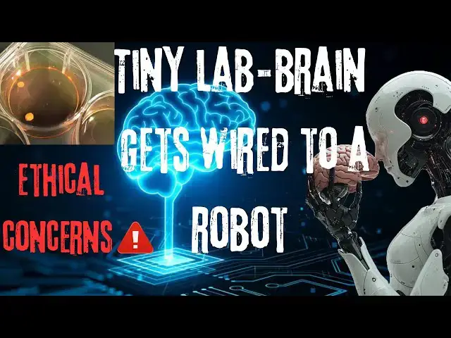 Video thumbnail for Chinese Scientists Wire A Mini "Brain" To A Robot sparking Controversy