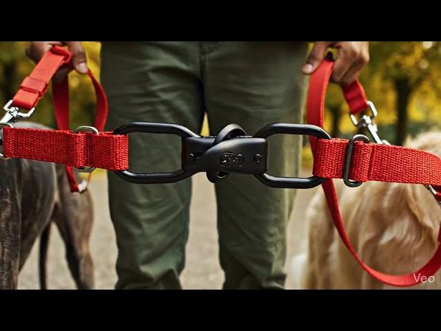 Video thumbnail for TwinTrek™ Dual Dog Leash #DoubleLeash #twodogs#durable leash#dog #dogs