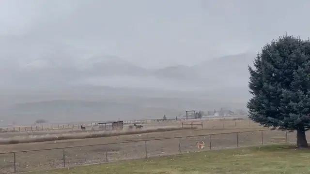 Video thumbnail for Light snowfall transforms Eden, Utah into a serene winter landscape