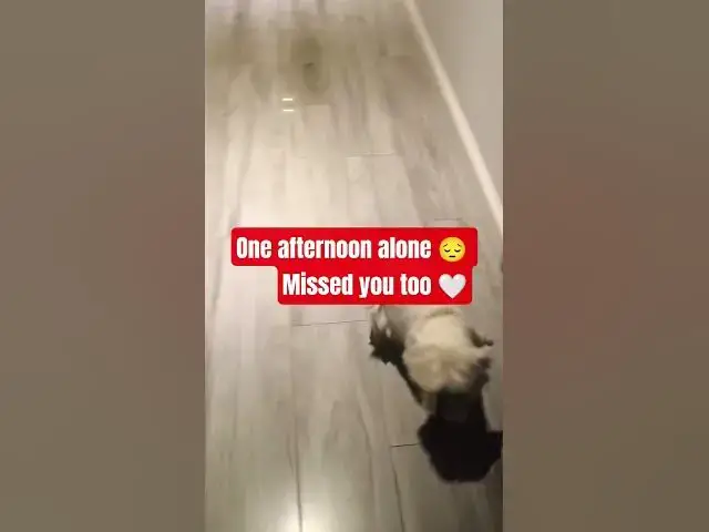 Video thumbnail for Missed you too 🤍